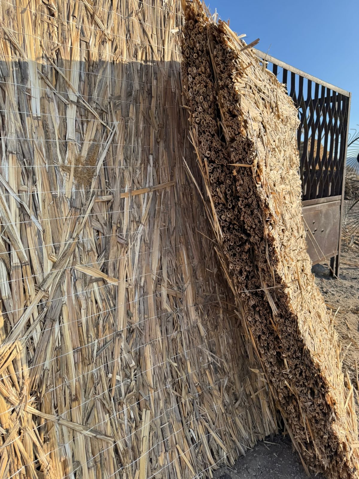 Reed mat for slope and shoreline reinforcement